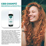 wellness-cbd_alchemy-shampoo-benefits-es