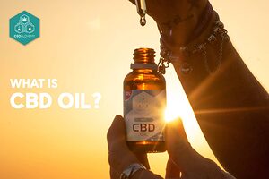 Descubra las maravillas del aceite de CBD en 2023: Su guía completa sobre sus beneficios para la salud.