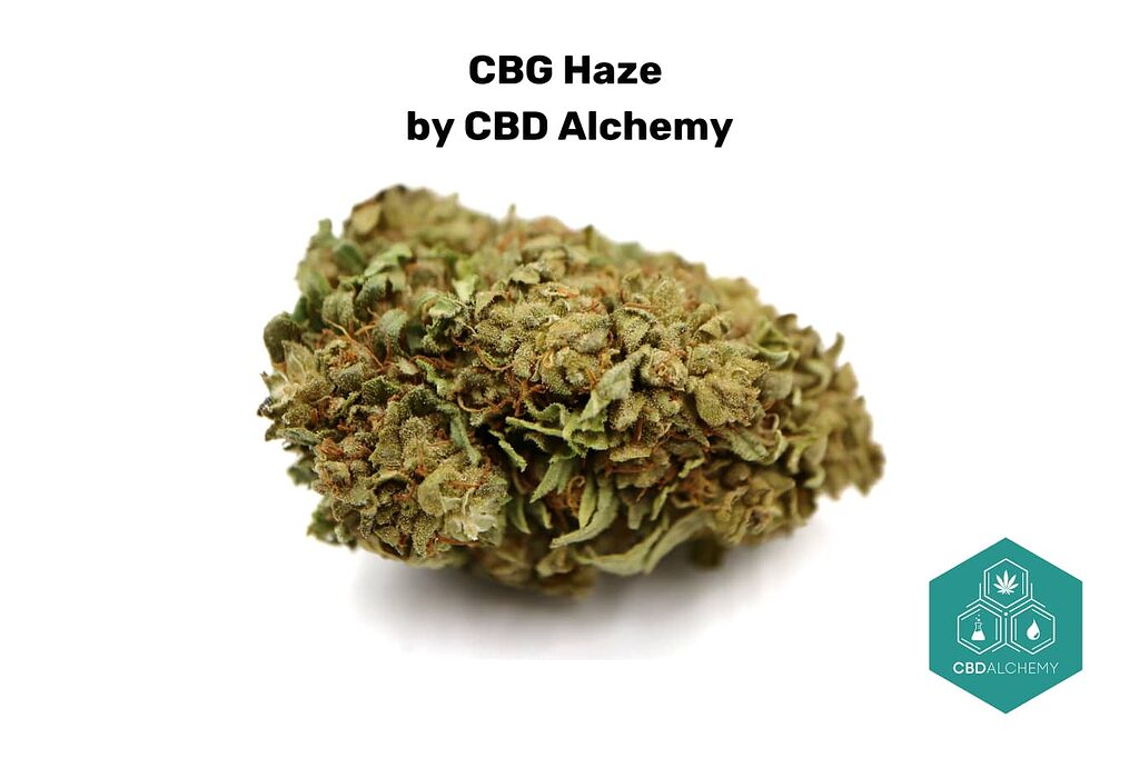 CBG Haze Flower: A Rare Jewel in the World of Cannabis.