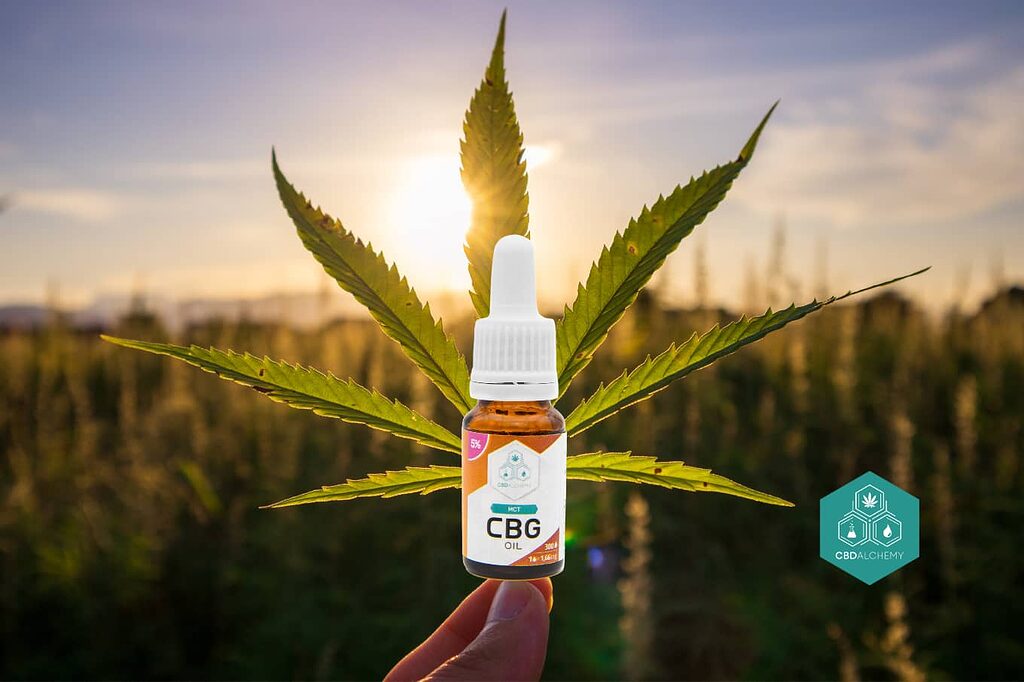 Safety and quality: What makes CBD Alchemy CBG Oil special.