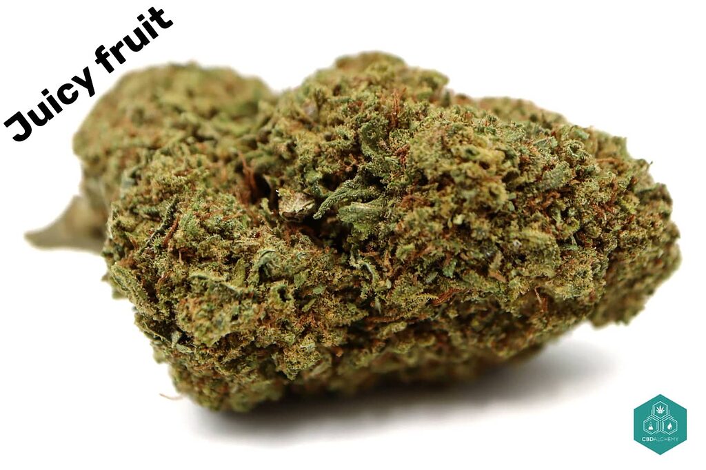 Juicy Fruit CBD: A show for the senses: aroma, color and quality in harmony.