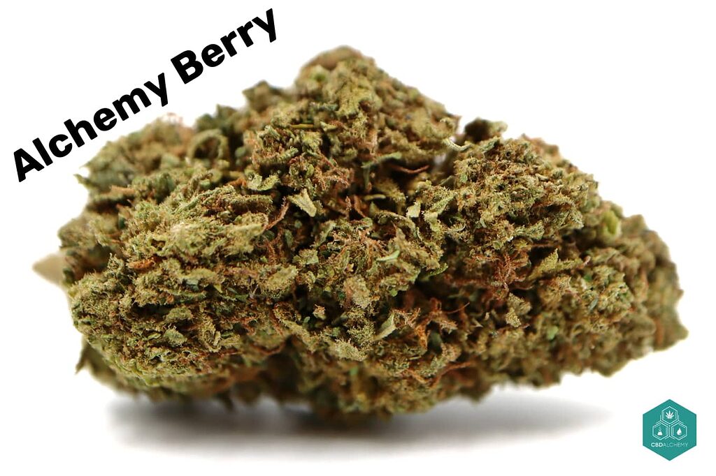 Alchemy Berry : la touche magique de la nature à son meilleur.