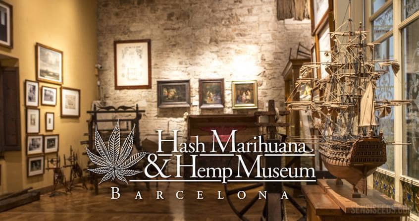 Hashish, Marijuana and Hemp Museum in Barcelona: A historical tour from the roots of hemp to modern cannabis medicine.