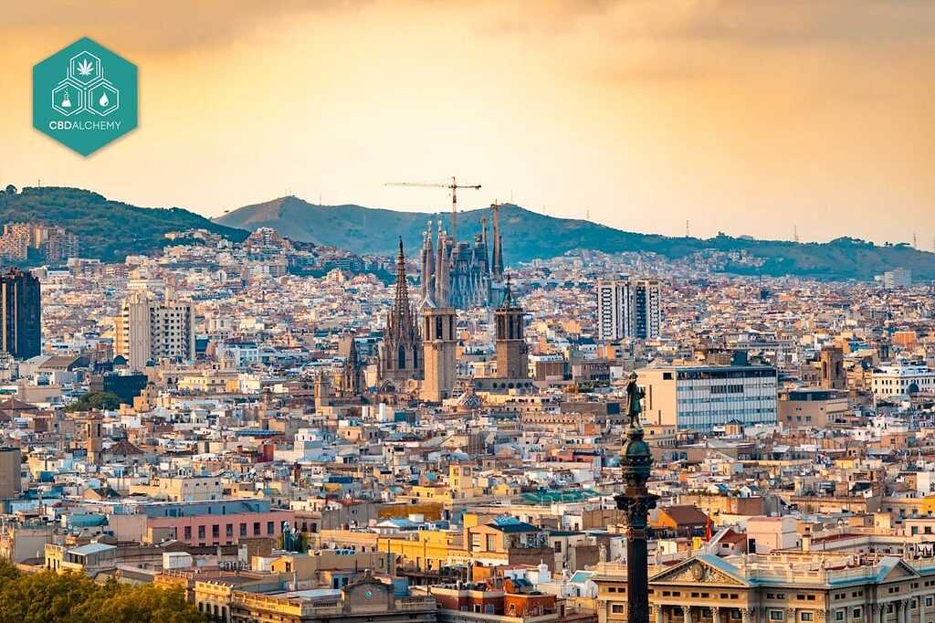 Barcelona: Europe's epicenter of cannabis clubs. Over 200 intimate locations await.