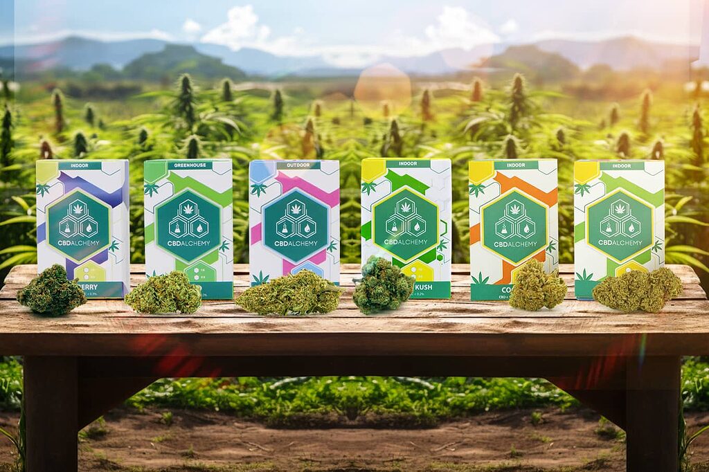 Buy CBD flowers: your gateway to natural relaxation and wellness.