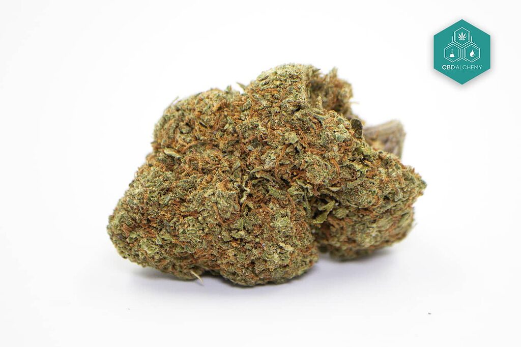 Cookies CBD Flowers: A taste of freshly baked cookies in every puff, a sweet escape into relaxation.