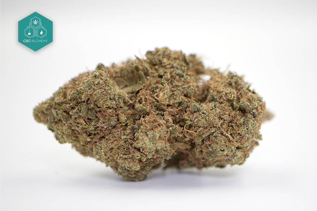 Deep Candy CBD Flowers: Sweetness that deepens relaxation, perfect to sweeten your well-being. 