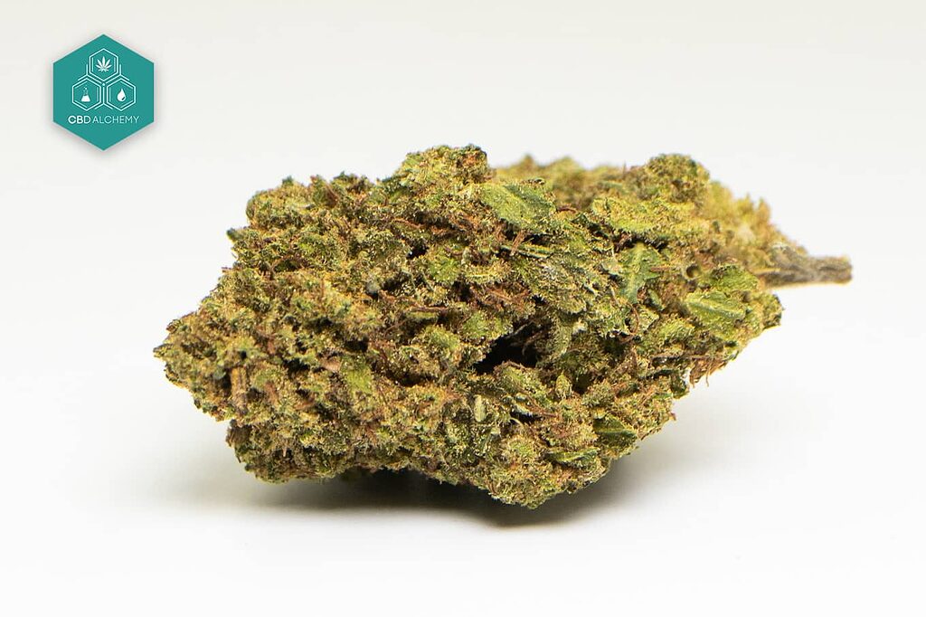 Gorilla Glue CBD Flowers: Strong and relaxing, this strain will lull you into an experience of tranquility. 
