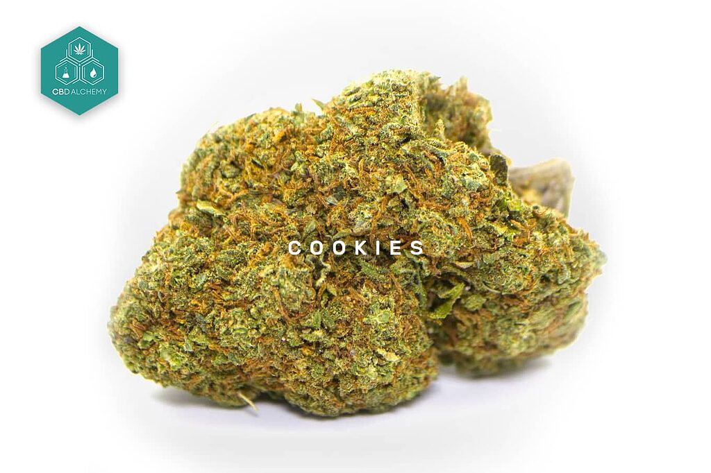 Let yourself be enveloped by the sweet aroma of CBD Cookies Flowers.