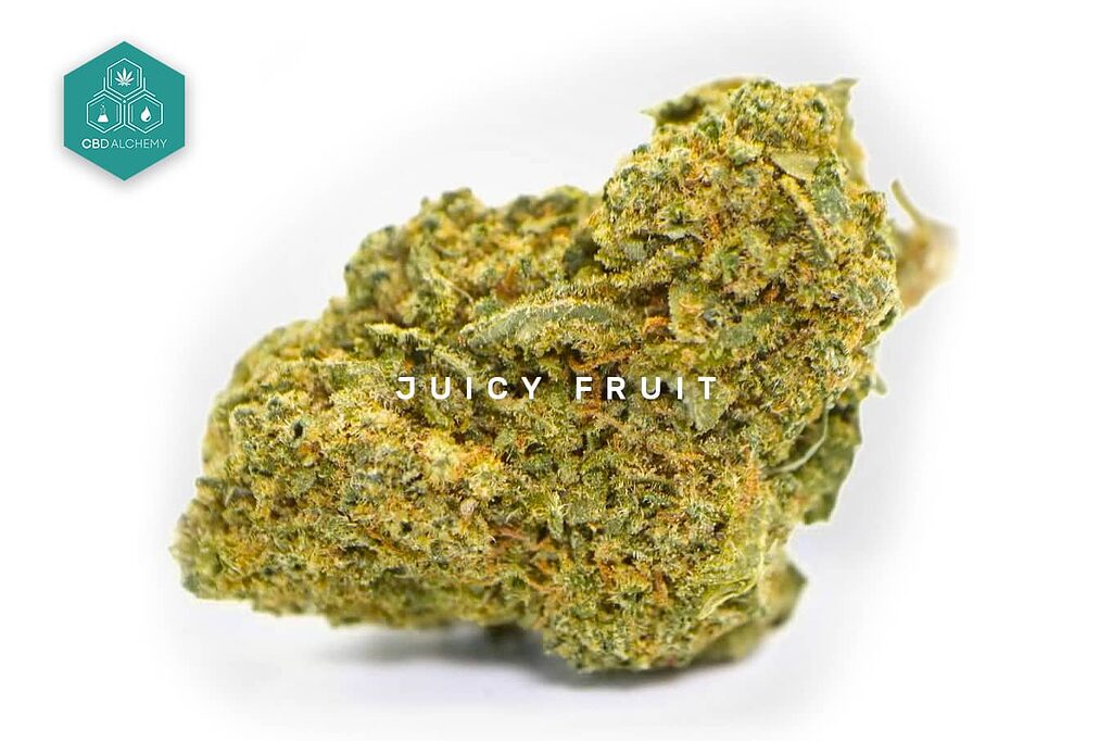 Experience a tropical taste with Juicy Fruit CBD Flowers.