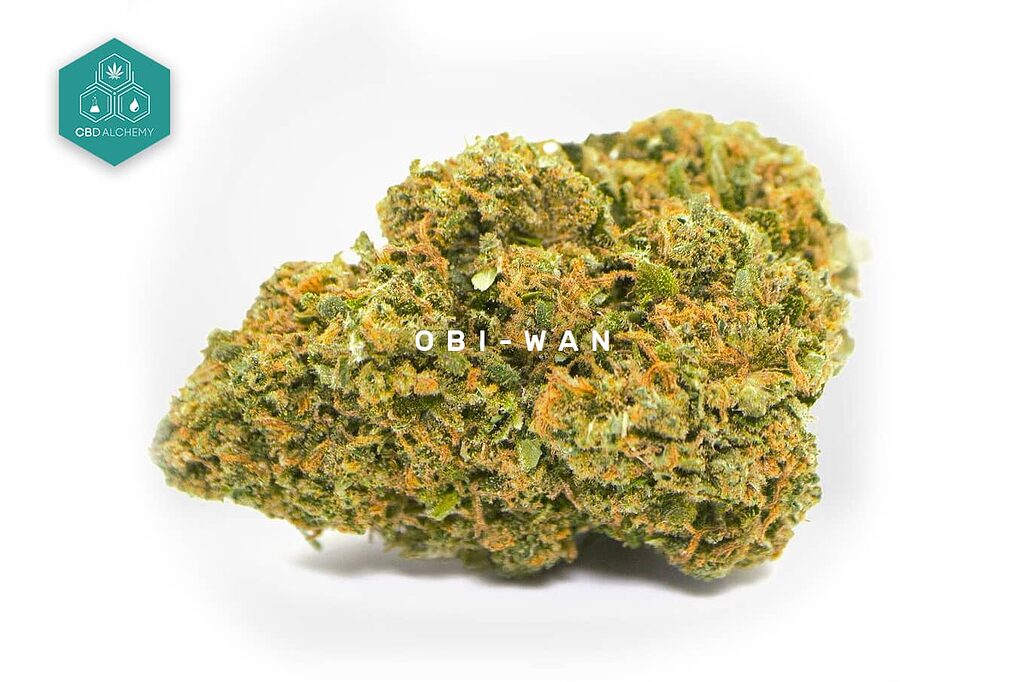 Relax with the earthy and spicy aroma of Obi-Wan CBD Flowers.