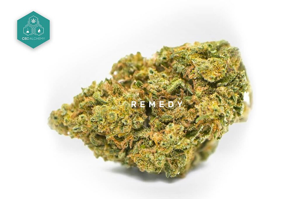 Remedy CBD Flowers: Find your balance and inner peace, a natural relief for everyday life.