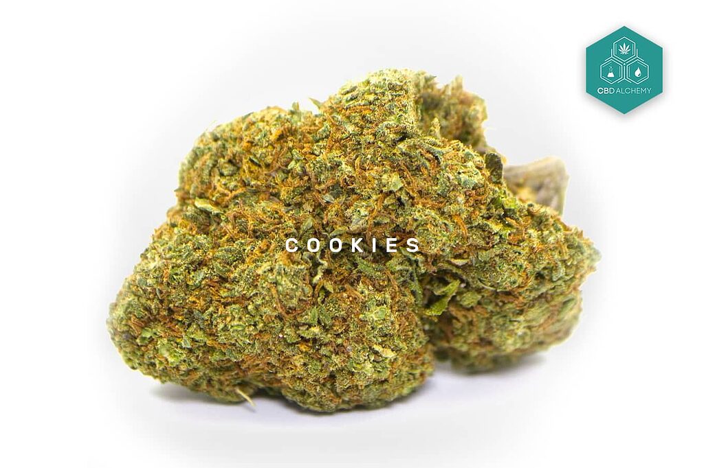 Cookies CBD-Blüten: Süße bei jedem Inhalieren, ein Erlebnis des reinen Genusses.