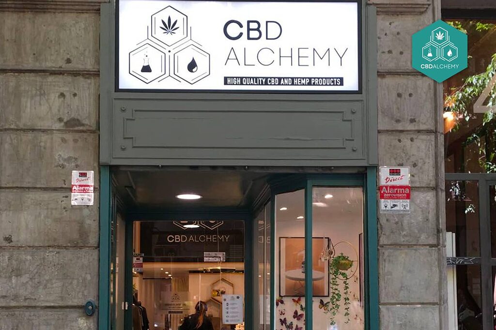Visit our cbd shop and find out why we are a leader in cheap and effective CBD.