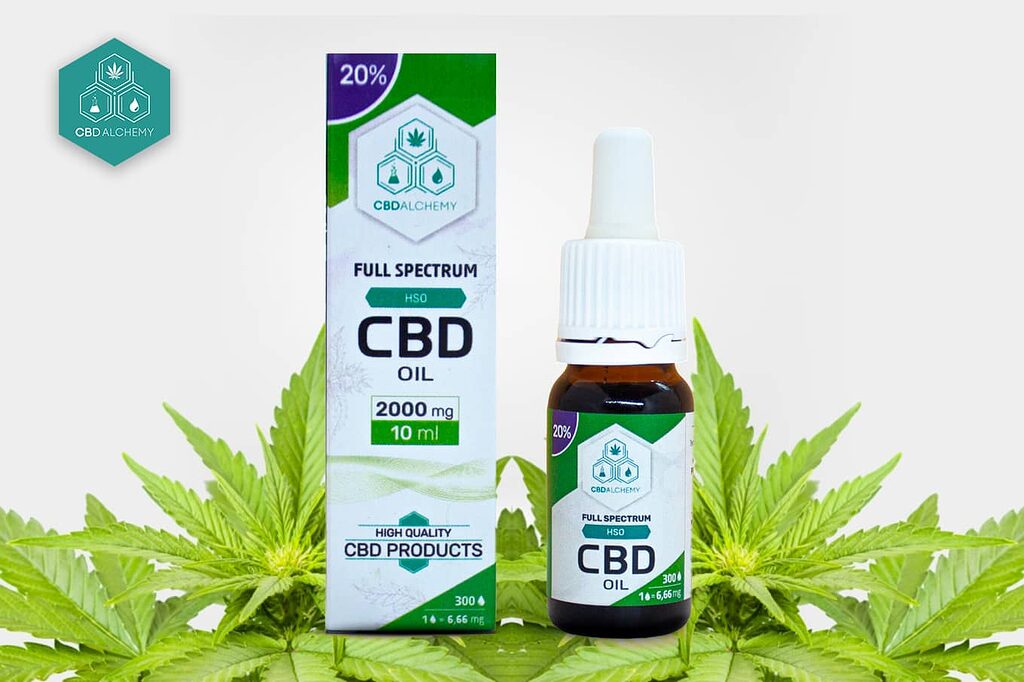 Cannabidiol oil: a gateway to relaxation and balance.