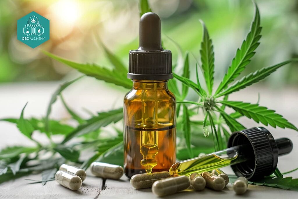 CBD oil available in Seville: invest in your health.