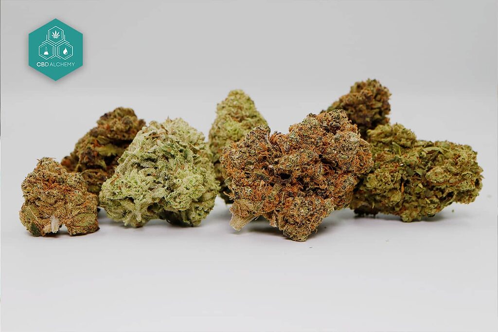 Marijuana strains: Personalized recommendations based on your preferences.
