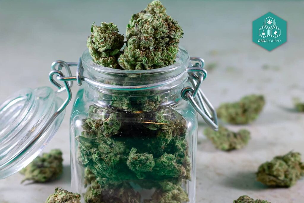 Foto stock di erba e marijuana: scopra la varietà.