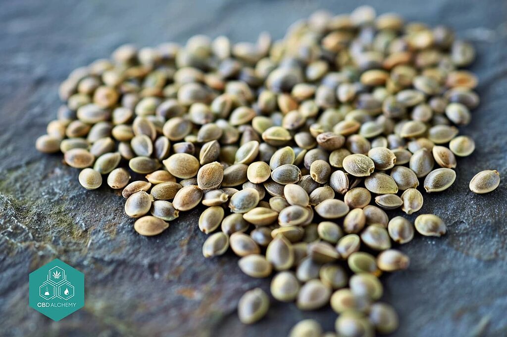 Hemp and iron: vital nutrients to fight anemia.