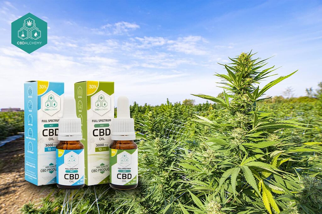 CBD oil to relieve pain from sports injuries.
