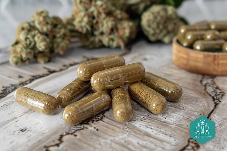 Conoce los beneficios de las cbd pastillas para tu bienestar diario.