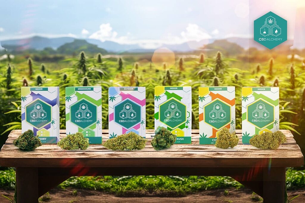 Variety of CBD products: Find the best CBD flowers in Spain.