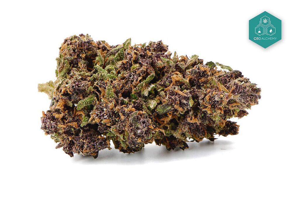 CBD Kush flowers: discover its benefits.