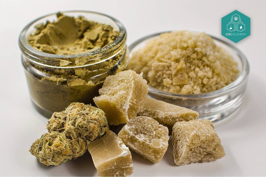 Afghan hashish: known for its high concentration of cannabinoids.