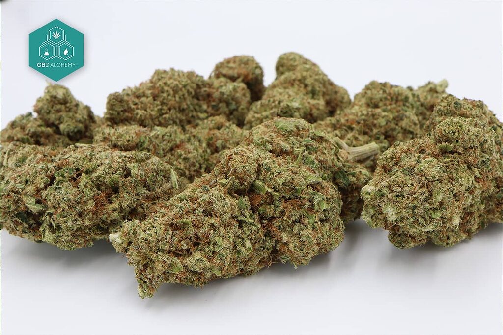 Comprar flores CBD Skunk para una experiencia terapéutica.