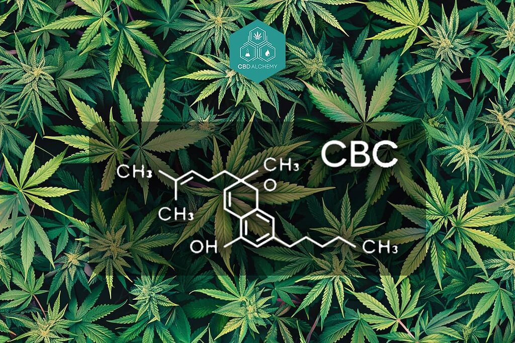 Molecular structure of CBC: the key to its therapeutic properties.