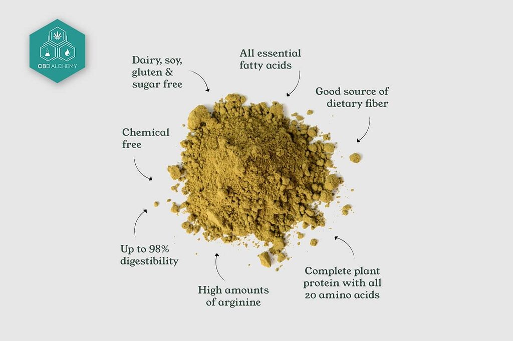 Protéine de chanvre : avantages pour le système immunitaire.
