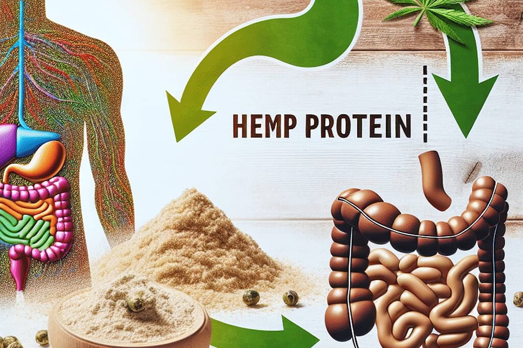 Improved digestive health with hemp protein.