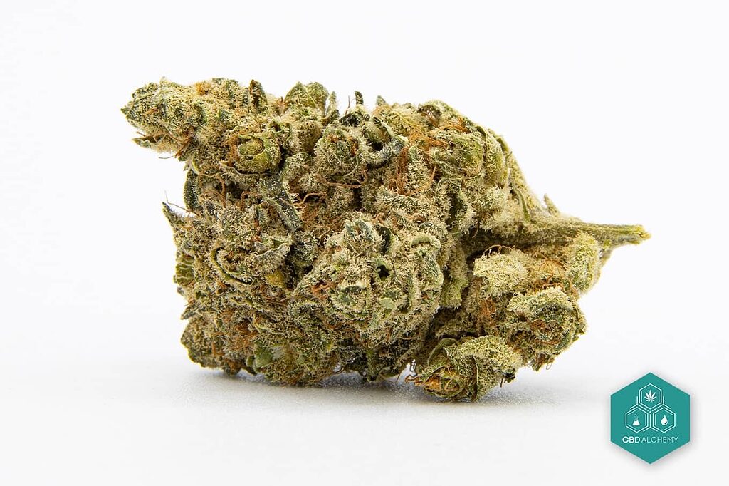 Lemon Haze CBD: Refrescante aroma cítrico.