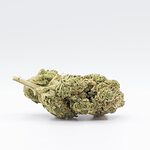 flowers-indoor-phantom_og-product-video-thumb