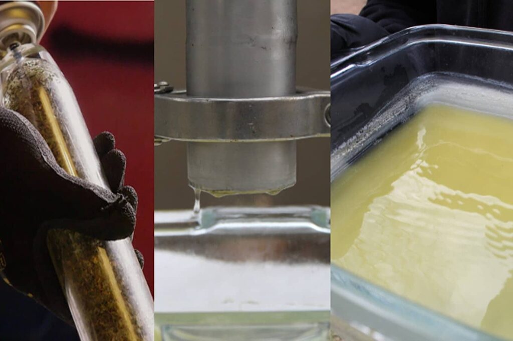 Alternative methods of extracting BHO.