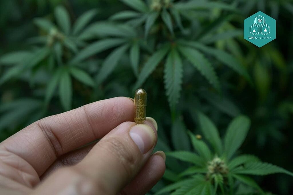 Capsule e perle di CBD per un dosaggio preciso.