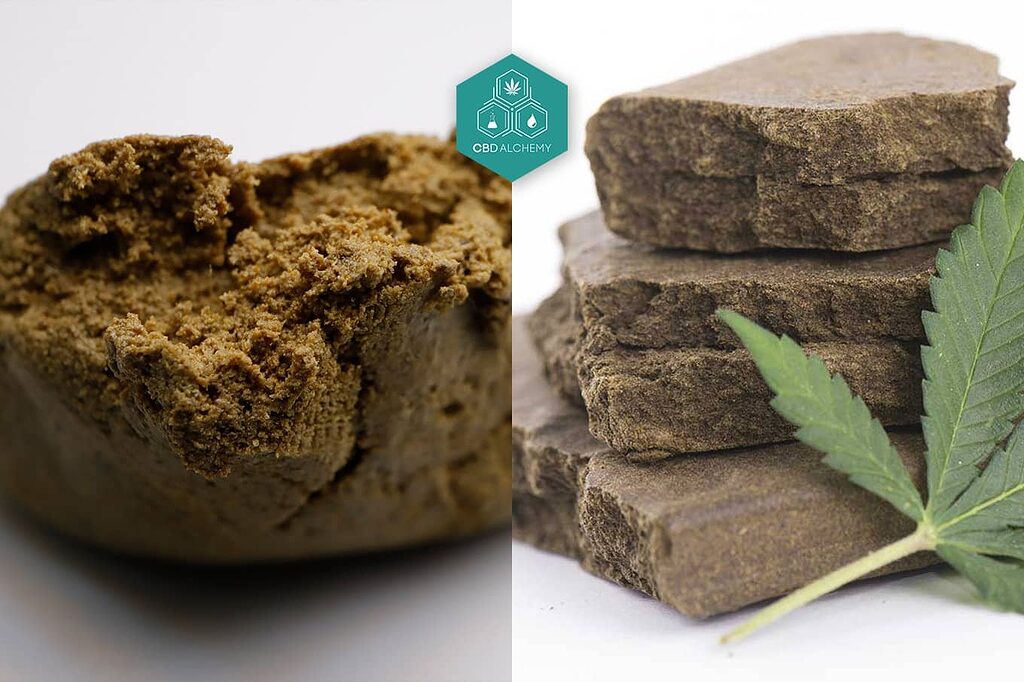 Hachís y chocolate: dos formas de resina de cannabis comparadas.