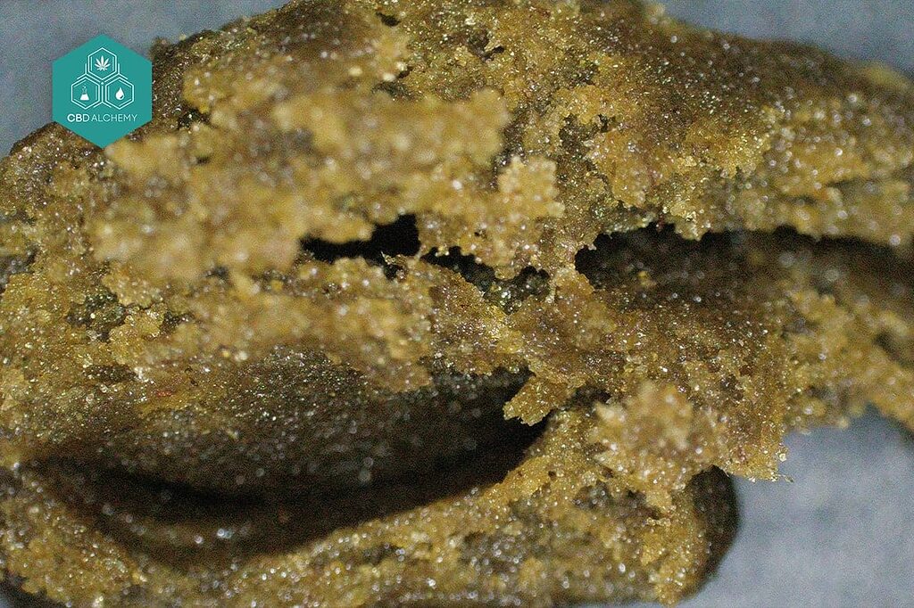 THC and CBD concentration in hashish vs. chocolate.