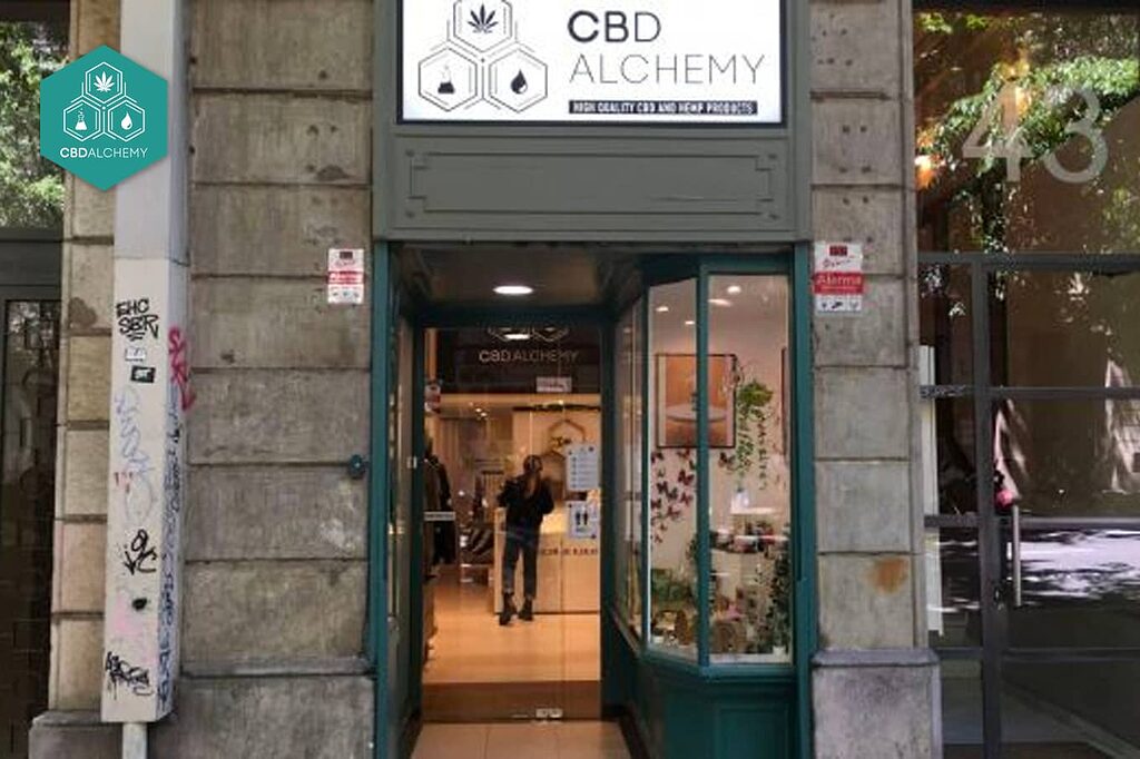 Variedad de semillas CBD premium en growshops de Madrid.