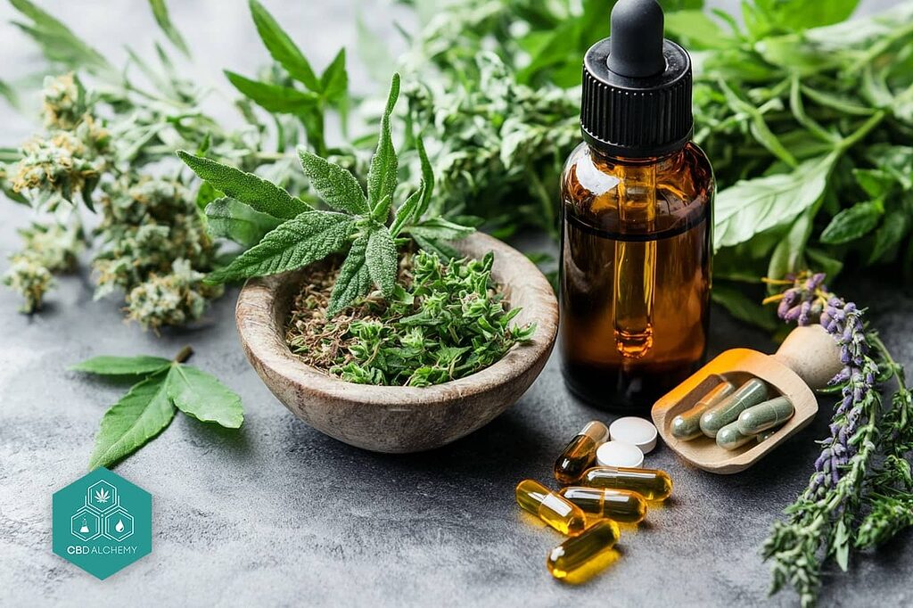 CBD oil vs. traditional medicines: comparison of effects.