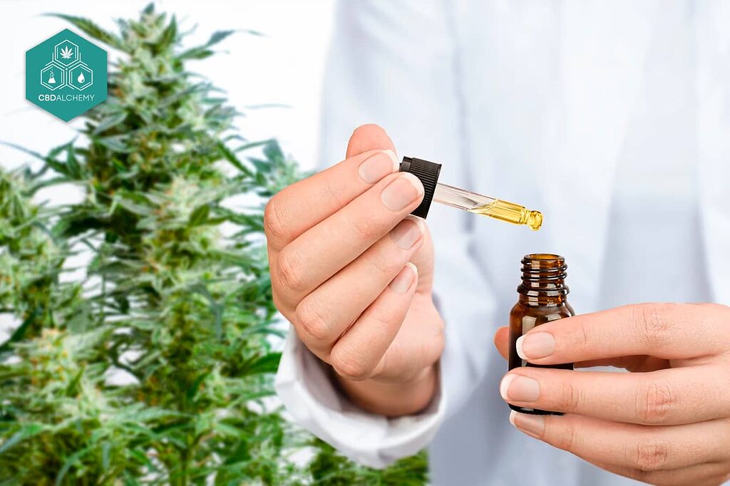 Step-by-step guide: how to take CBD oil correctly.