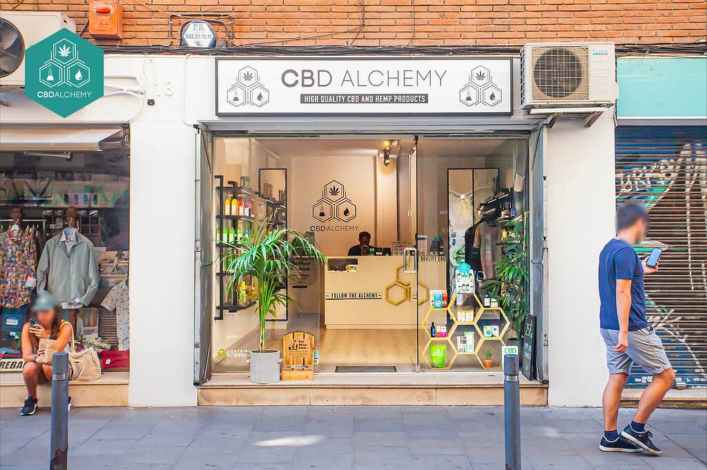 Grow shop Madrid: courses and workshops on cannabis cultivation.