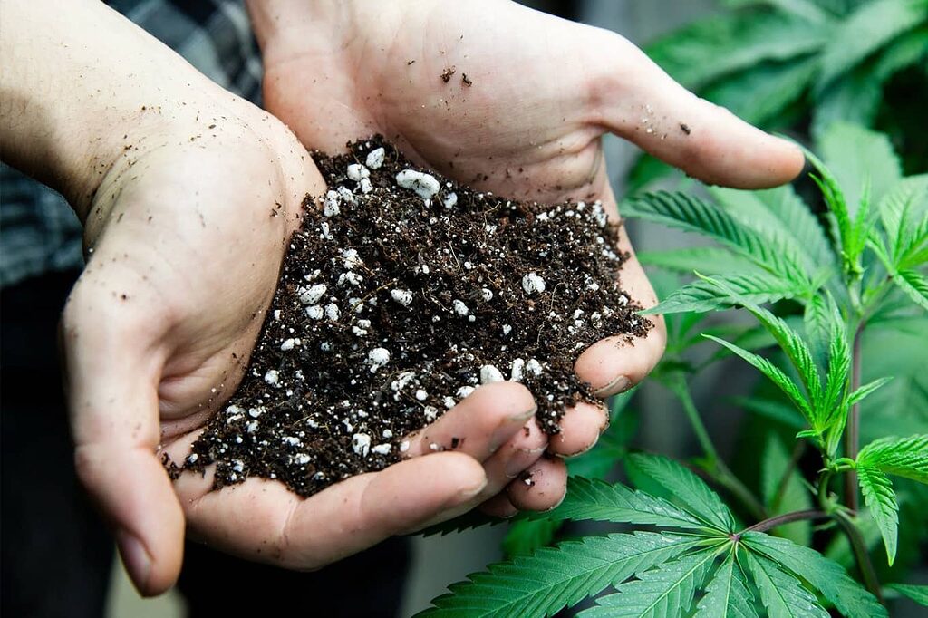 Grow shop Madrid: substrates and fertilizers for optimal cultivation.