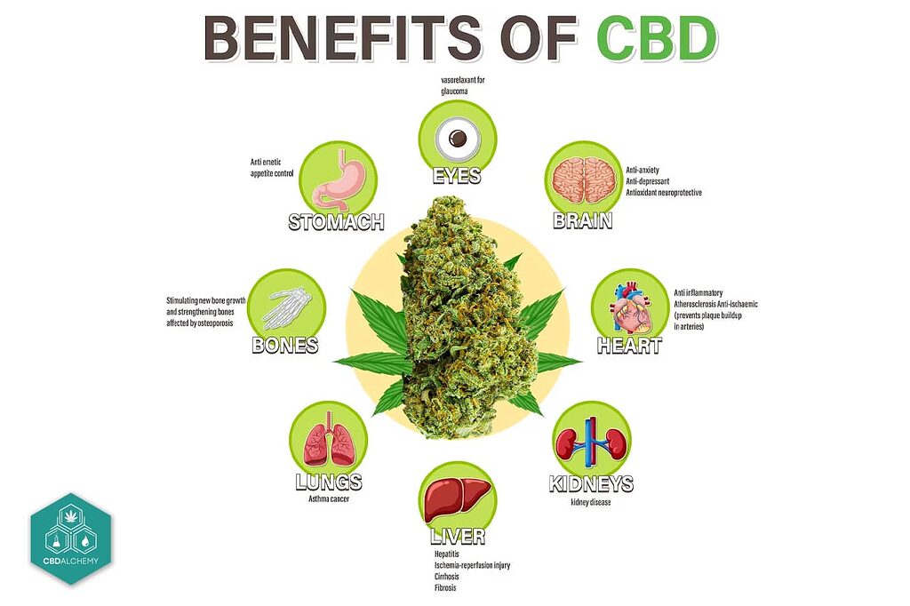 Infografía sobre los beneficios del aceite de CBD.