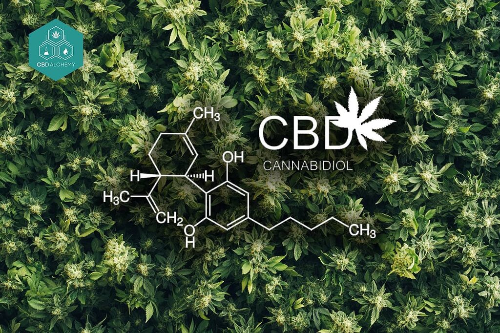 Definition of CBD and its properties.