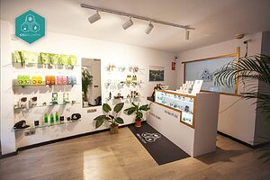 Variedad de productos CBD Mallorca en CBD Alchemy.