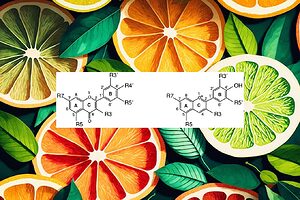 Estructura química de los flavonoides que muestra el característico esqueleto C6-C3-C6.