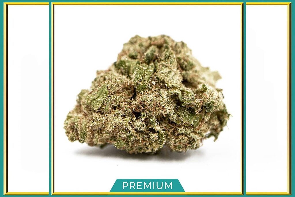 Phantom OG Indoor es una variedad de cannabis con dominancia CBD meticulosamente cultivada, nacida de la unión de OG Kush y Phantom Cookies.