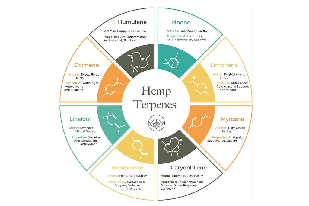 Image illustrant les bienfaits thérapeutiques des terpènes.