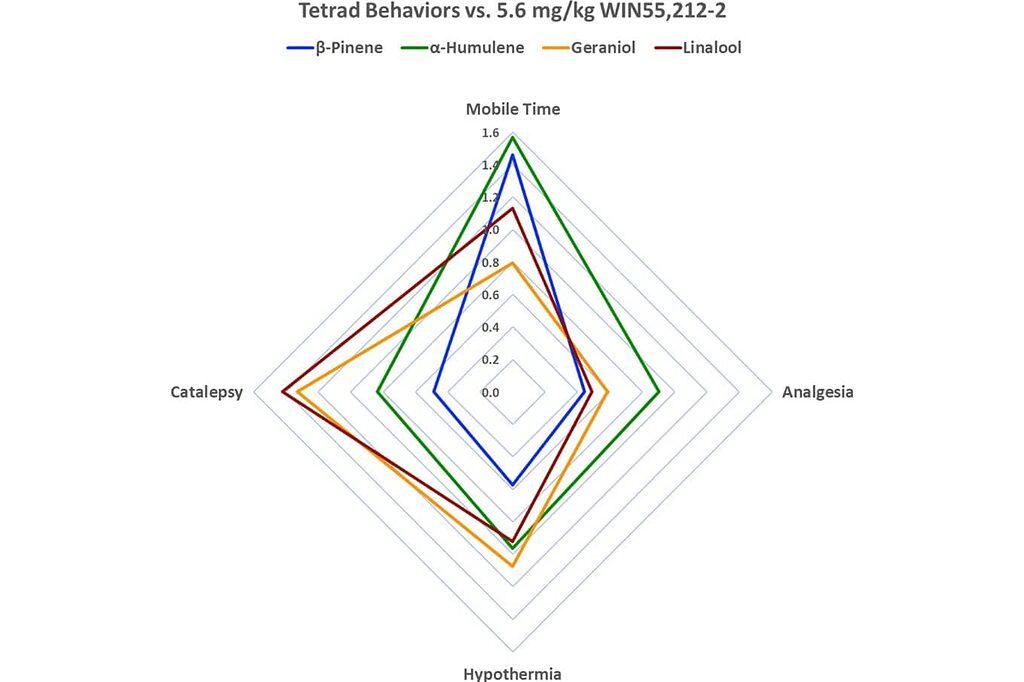 Diagramme de l'effet d'entourage entre les terpènes et le CBD renforçant les effets thérapeutiques.